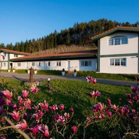 Apartamentos Turisticos Bizkar Bare ソプエルタ エクステリア 写真