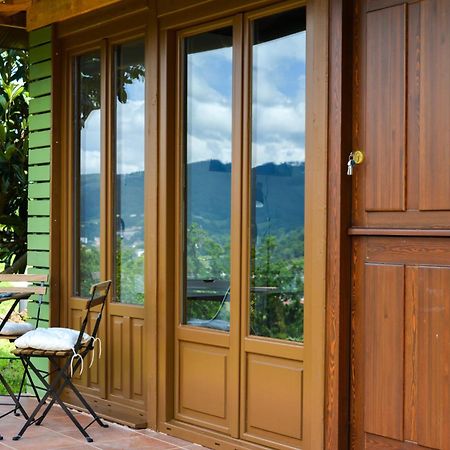 Apartamentos Turisticos Bizkar Bare ソプエルタ エクステリア 写真